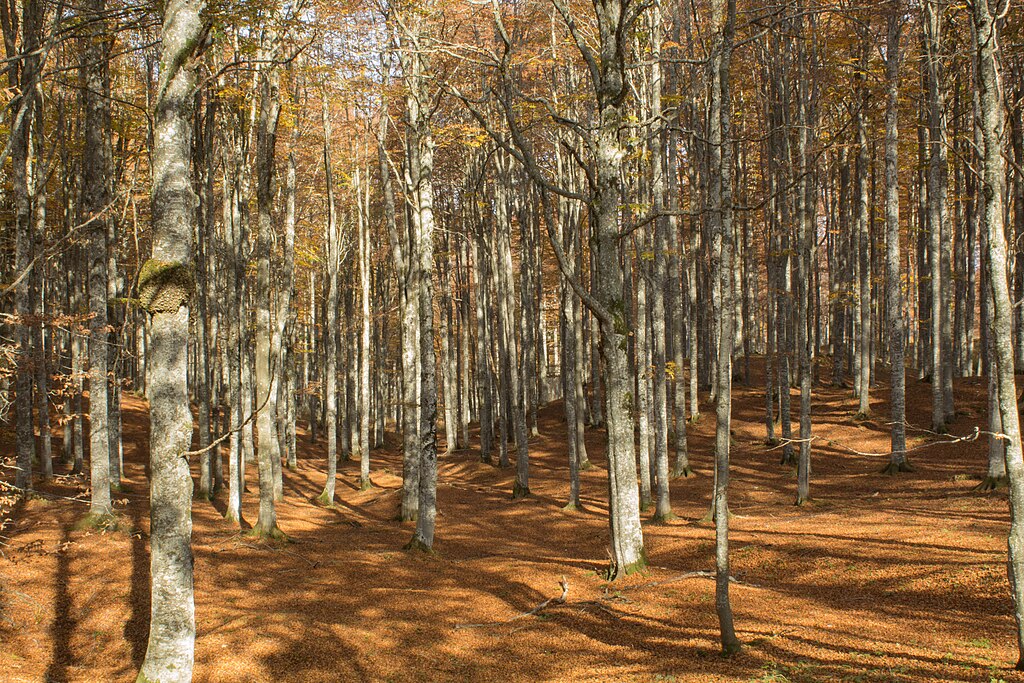 Ottobre in Veneto
