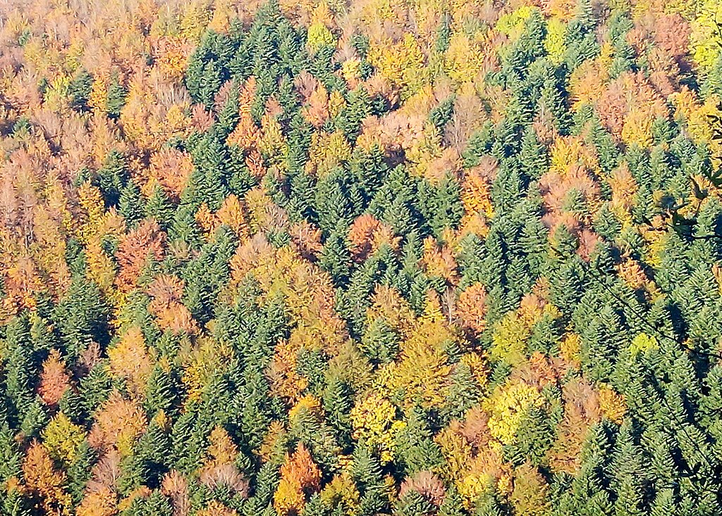 Ottobre in Emilia Romagna