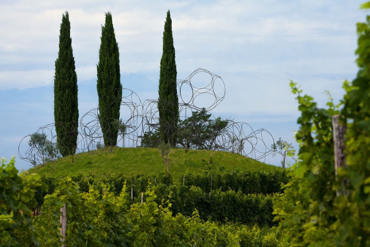 Arte, vino e paesaggio: il 17 e 18 ottobre 14 cantine, dal Trentino alla Sicilia, aprono le loro porte con visite guidate e attività gratuite