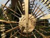 1arnaldopomodorotenutadicastelbuonotenutacastelbuono