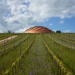 Arte, vino e paesaggio: il 17 e 18 ottobre 14 cantine, dal Trentino alla Sicilia, aprono le loro porte con visite guidate e attività gratuite