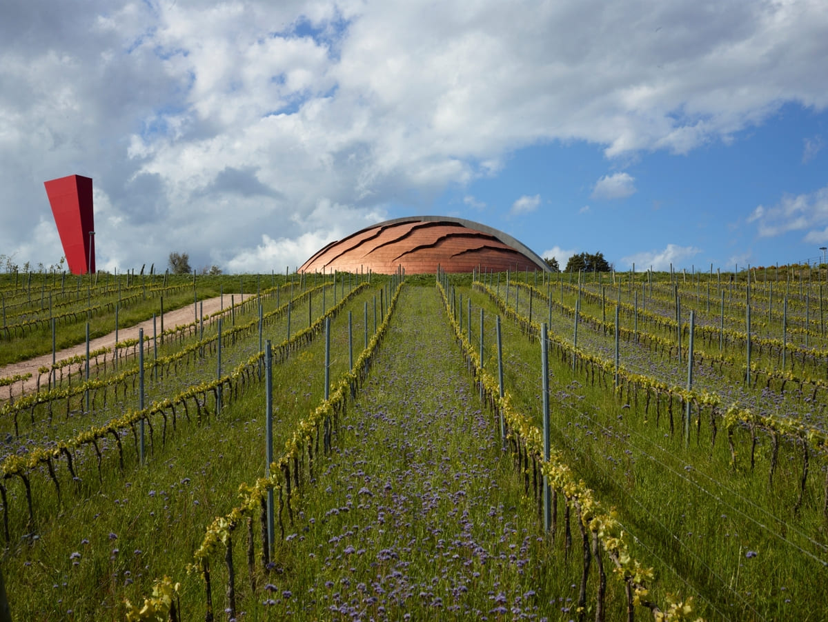 Arte, vino e paesaggio: il 17 e 18 ottobre 14 cantine, dal Trentino alla Sicilia, aprono le loro porte con visite guidate e attività gratuite