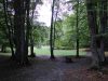 bosco-di-santantonio-tra-faggi-e-querce-lautunno-regala-un-caleidoscopio-di-colori-caldi-mentre-il-sottobosco-profuma-di-terra-umida-e-muschio
