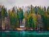 foresta-di-tarvisio-boschi-di-conifere-e-faggi-diventano-un-tappeto-dorato-e-arancione