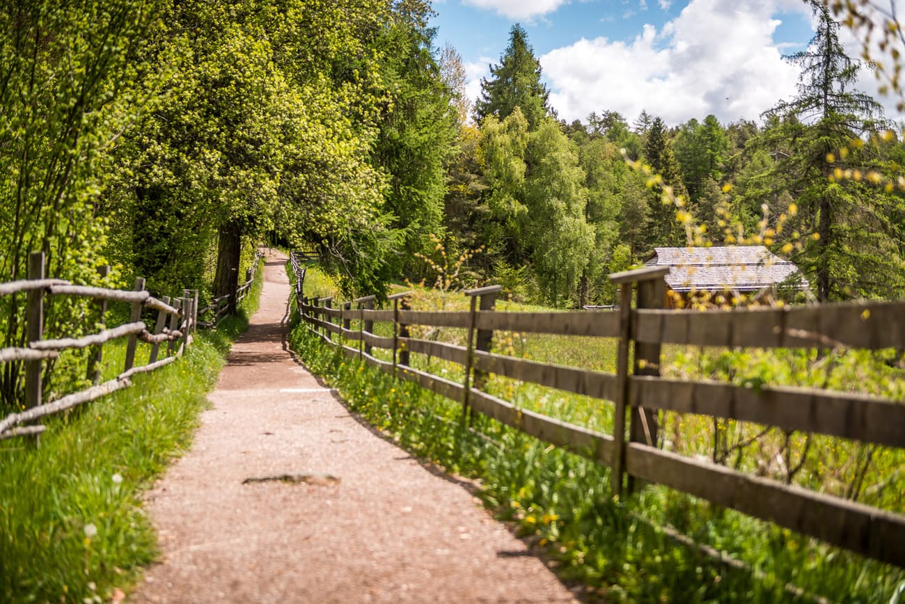 Queste passeggiate ti portano su un altipiano soleggiato dove il foliage incanta tutti i sensi