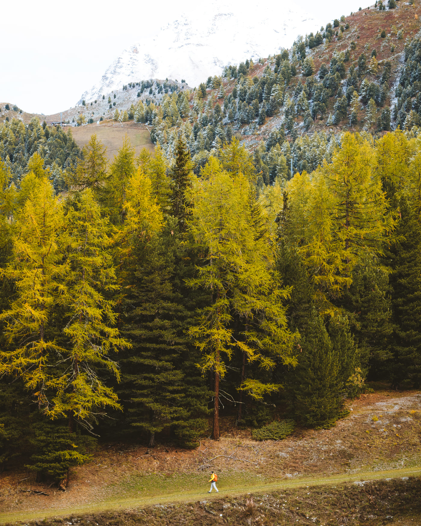 In questa Valle l'autunno e il foliage hanno già le sfumature di bianco della neve