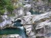 marmitte-dei-giganti-marche-a-fossombrone-nelle-marche-il-fiume-metauro-ha-scavato-nel-tempo-uno-spettacolare-canyon-naturale-le-rocce-levigate-dallacqua-hanno-creato-piscine-vortici-e-pareti-che-rendono-il-paesaggio-unico-si-possono-ammirare-da-passerelle-panoramiche-o-percorrendo-i-sentieri-che-costeggiano-il-fiume-foto-mauro-cavallo-cc-by-30-via-wikimedia-commons