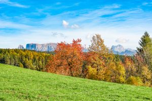 Queste passeggiate ti portano su un altipiano soleggiato dove il foliage incanta tutti i sensi