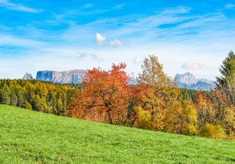 Queste passeggiate ti portano su un altipiano soleggiato dove il foliage incanta tutti i sensi