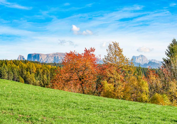 Queste passeggiate ti portano su un altipiano soleggiato dove il foliage incanta tutti i sensi