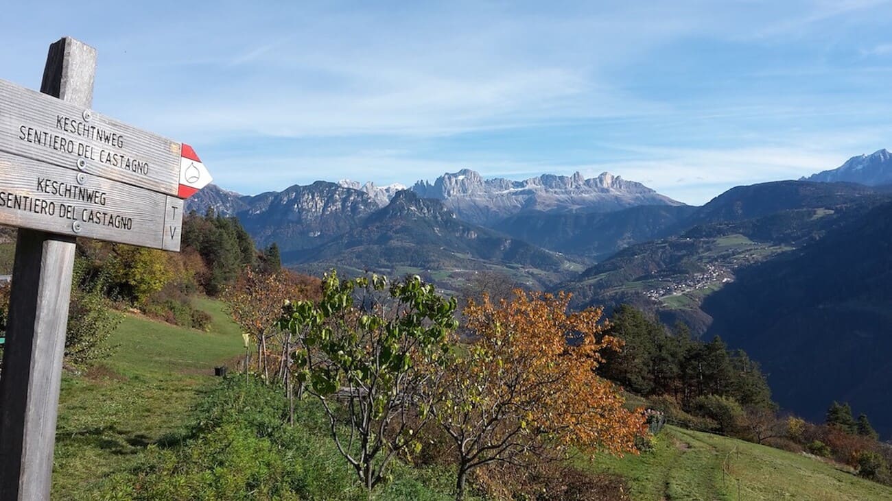 Queste passeggiate ti portano su un altipiano soleggiato dove il foliage incanta tutti i sensi