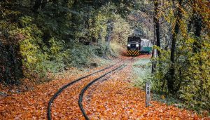 Trenino Foliage 2025, orari e percorsi