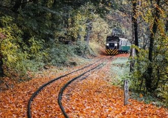 Trenino Foliage 2025, orari e percorsi