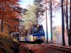 treno-del-foliage-la-ferrovia-vigezzina-centovalli