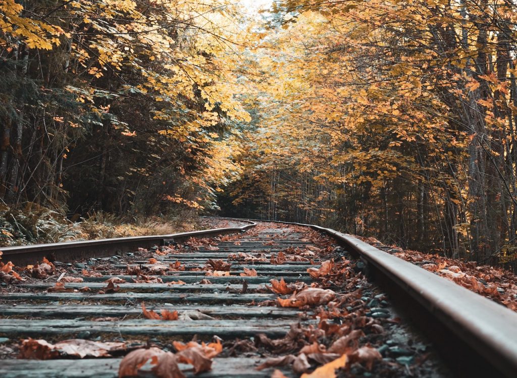 Treno del Foliage Italia