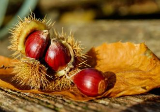 castagne-feste-italia
