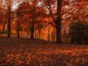 parco-dellorecchiella-in-autunno-foto-paolo-becarelli