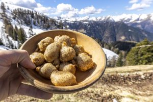 Sciatt-Alpi-Orobie_Valle-del-Bitto-di-Albaredo-Rifugio-Alpe-Piazza