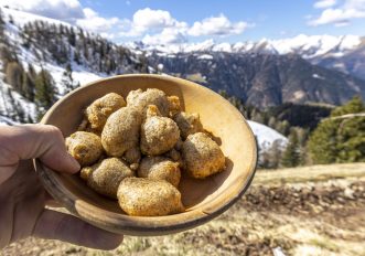 Sciatt-Alpi-Orobie_Valle-del-Bitto-di-Albaredo-Rifugio-Alpe-Piazza