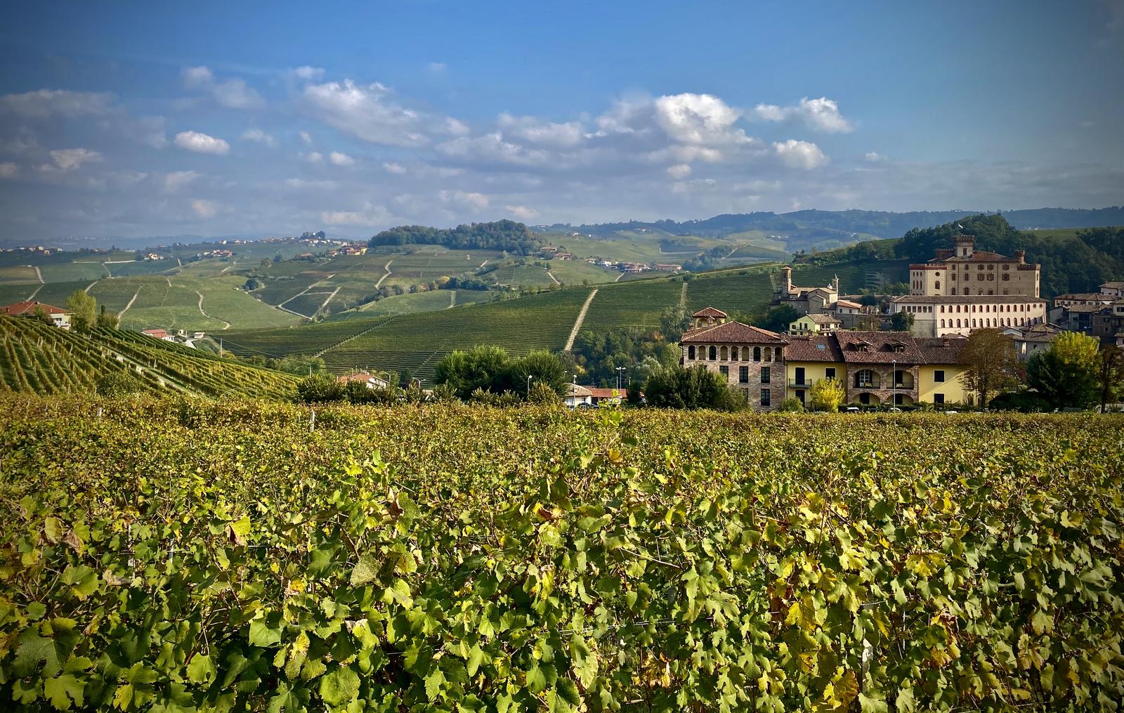 5 percorsi su Wikiloc per scoprire l'Italia dei colori autunnali