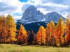 alpe-di-siusi-novembre-qui-porta-silenzio-e-aria-frizzante-con-prati-gelati-e-sentieri-che-invitano-a-camminate-tranquille