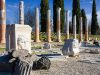 aquileia-sotto-la-luce-bassa-dautunno-i-mosaici-sembrano-affiorare-dal-terreno-come-ricordi-che-la-citt-non-ha-mai-voluto-perdere