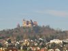 burg-kreuzenstein-situato-in-austria-si-distingue-per-le-sue-torri-merlate-e-le-mura-fortificate-che-emergono-nettamente-dalla-foresta-spoglia-e-diventano-pienamente-apprezzabili-senza-eventi-n-visitatori-numerosi