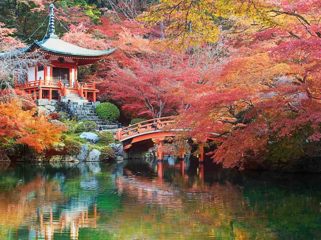 Jakko-in Temple, autunno