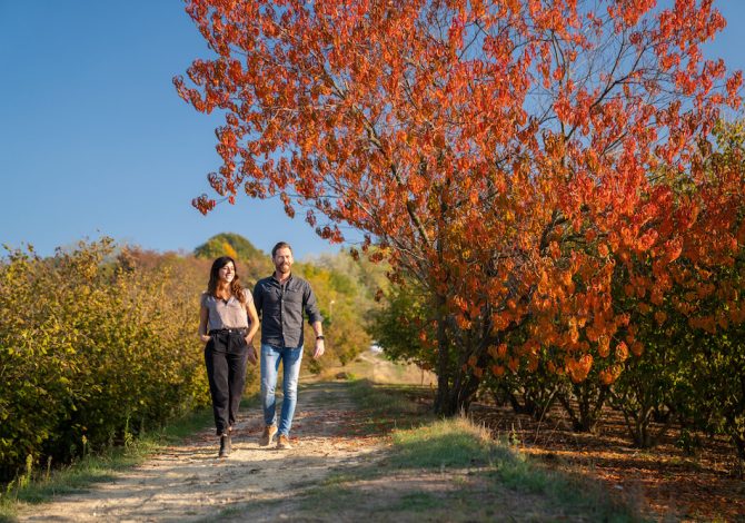 passeggiate_foliage_piemonte