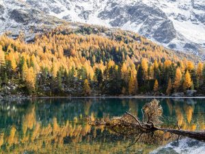 Visitare il Lago di Saoseo in autnno