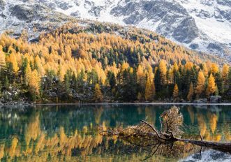 Visitare il Lago di Saoseo in autnno