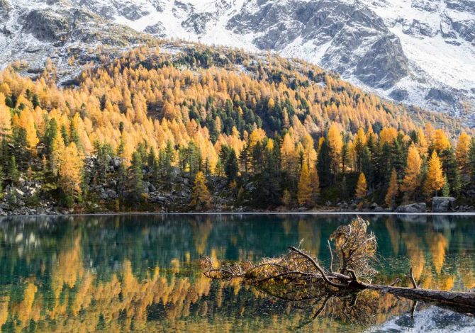Visitare il Lago di Saoseo in autnno