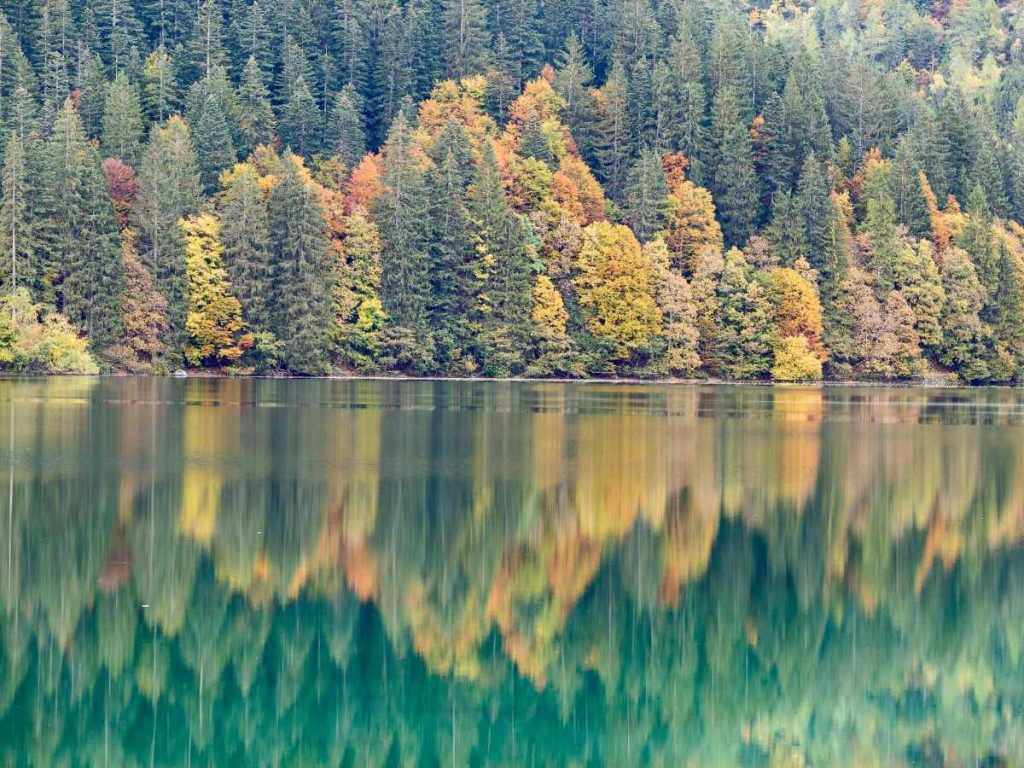 Lago di Tovel, foliage autunnale