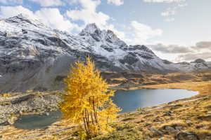 valtellina_Lago_Viola_autunno