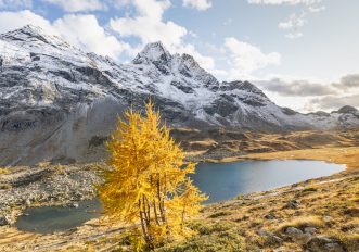 valtellina_Lago_Viola_autunno