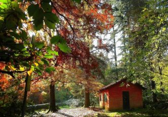 passegiate-novembre-val-di-taro-Parco Carrega - Casetta al Lago della Svizzera