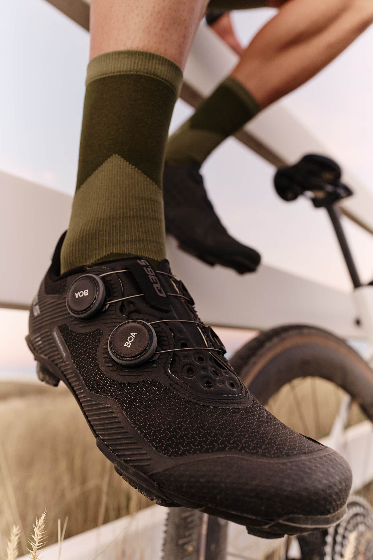 Q36.5 Gregarius Adventure