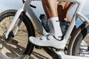 Q36.5 Gregarius Adventure