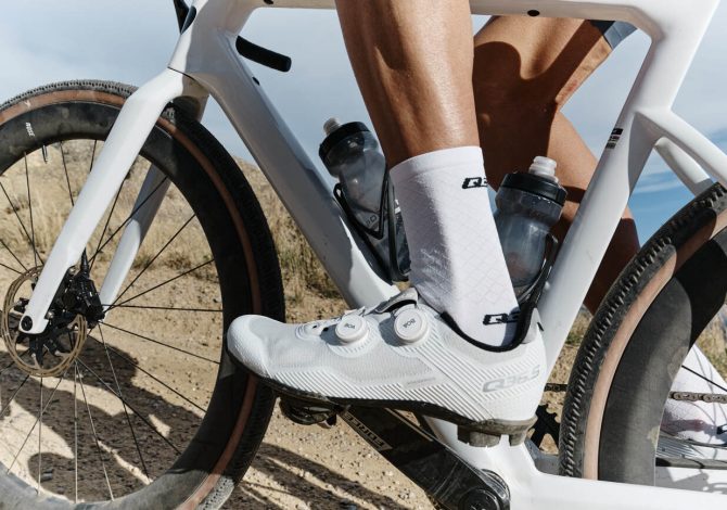 Q36.5 Gregarius Adventure