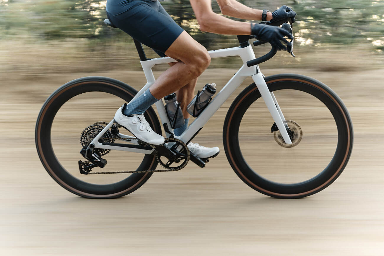 Q36.5 Gregarius Adventure