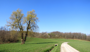 Riserva_naturale_delle_Sorgenti_del_Belbo_prati_a_nord_della_sorgente