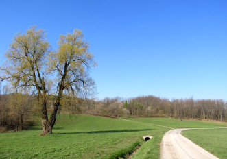 Riserva_naturale_delle_Sorgenti_del_Belbo_prati_a_nord_della_sorgente