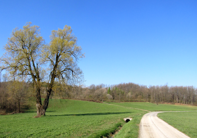 Riserva_naturale_delle_Sorgenti_del_Belbo_prati_a_nord_della_sorgente