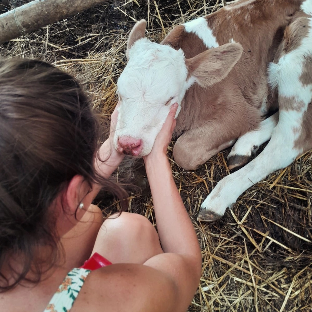 Simona Gambarini - Costalta