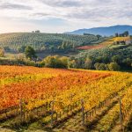 Strada del Sagrantino