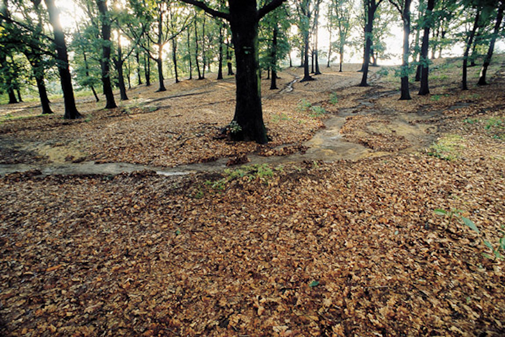 baraggia-bessa-piemonte