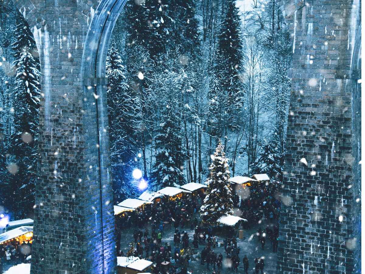 Gola di Ravenna, Foresta Nera