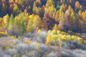 marguareis-parco-autunno