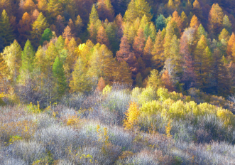 marguareis-parco-autunno