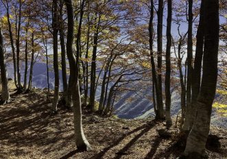 5 percorsi su Wikiloc per scoprire l'Italia dei colori autunnali